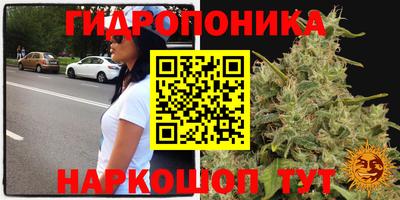 крисы Волжский