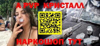 эйфоретик Донской