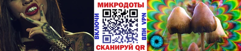 Галлюциногенные грибы мухоморы Шахты