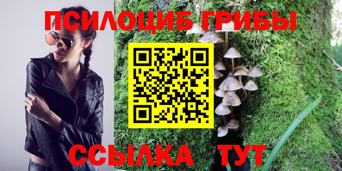 Галлюциногенные грибы GOLDEN TEACHER Шахты