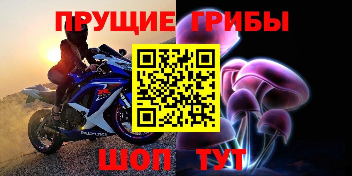 Галлюциногенные грибы Magic Shrooms  Шахты  Галлюциногенные грибы мицелий 