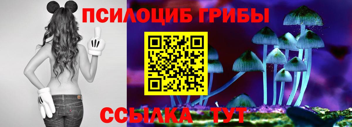 Шахты  Псилоцибиновые грибы Psilocybe  Вход с VPN 